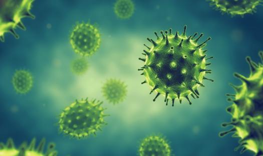 How Does Monolaurin Kill Viruses?