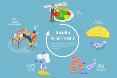 Can BERBERINE Be a “Natural Ozempic” for Weight Loss?