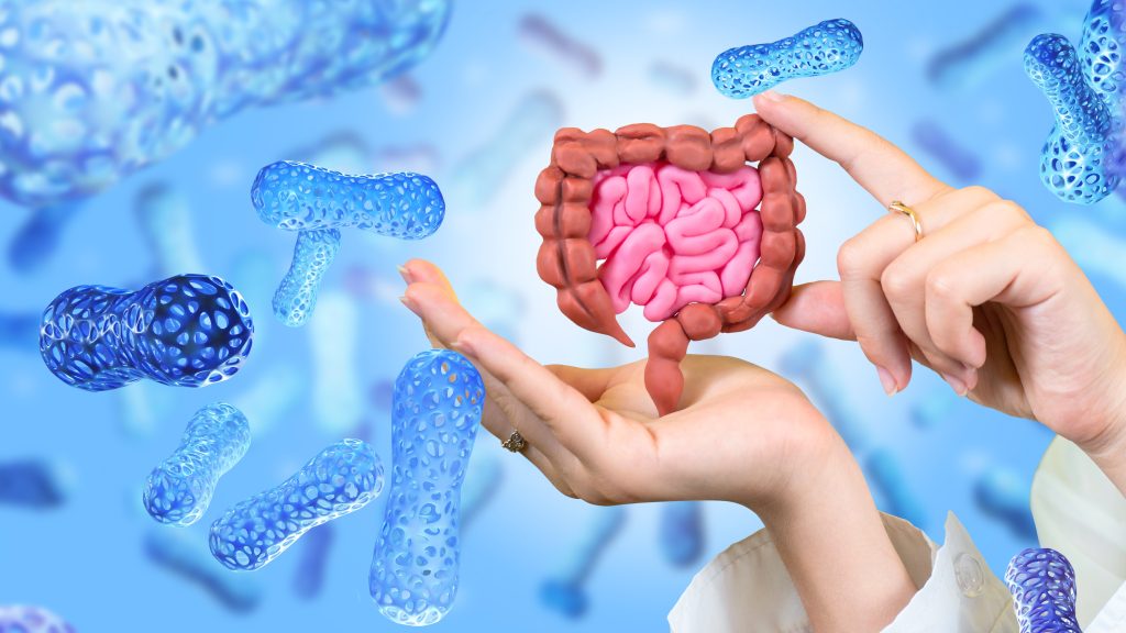 Gut microbial health concept