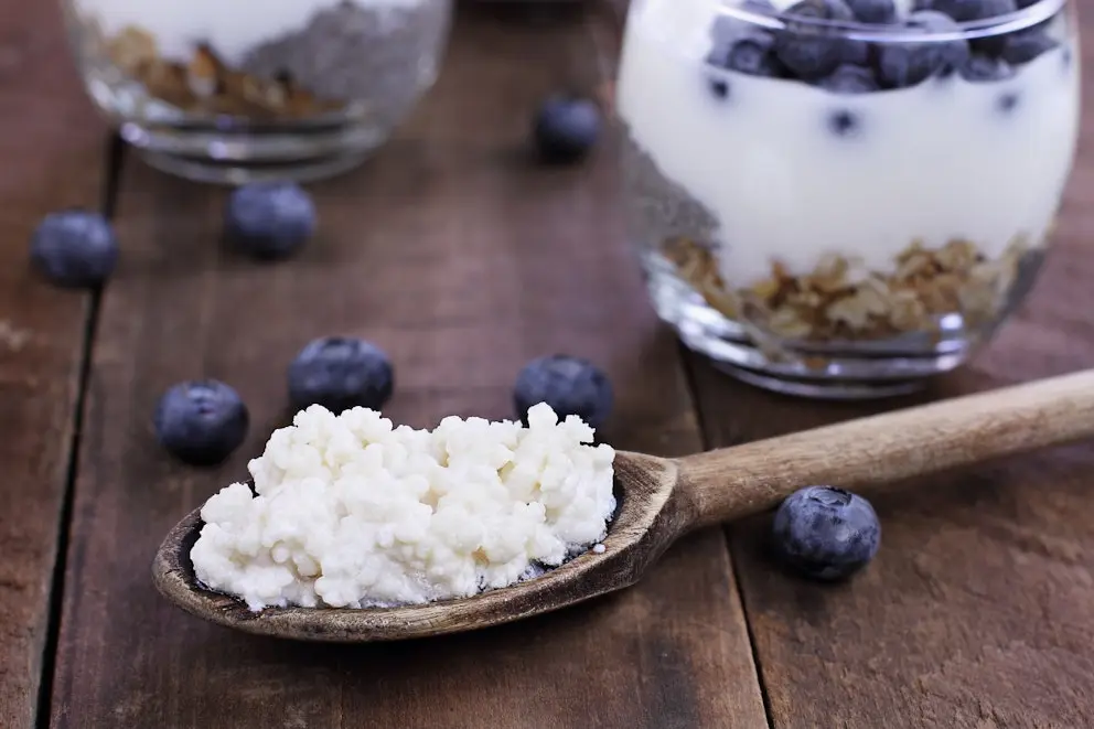 Kefir parfait and kefir grains