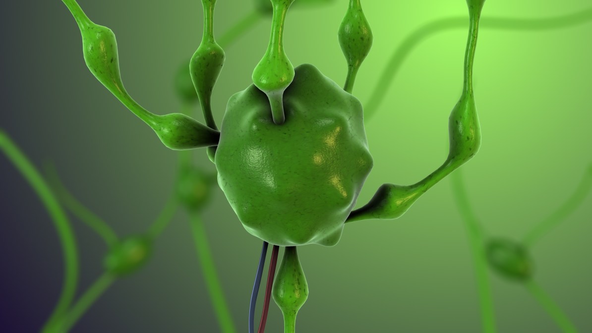 What Is a Lymph Node?