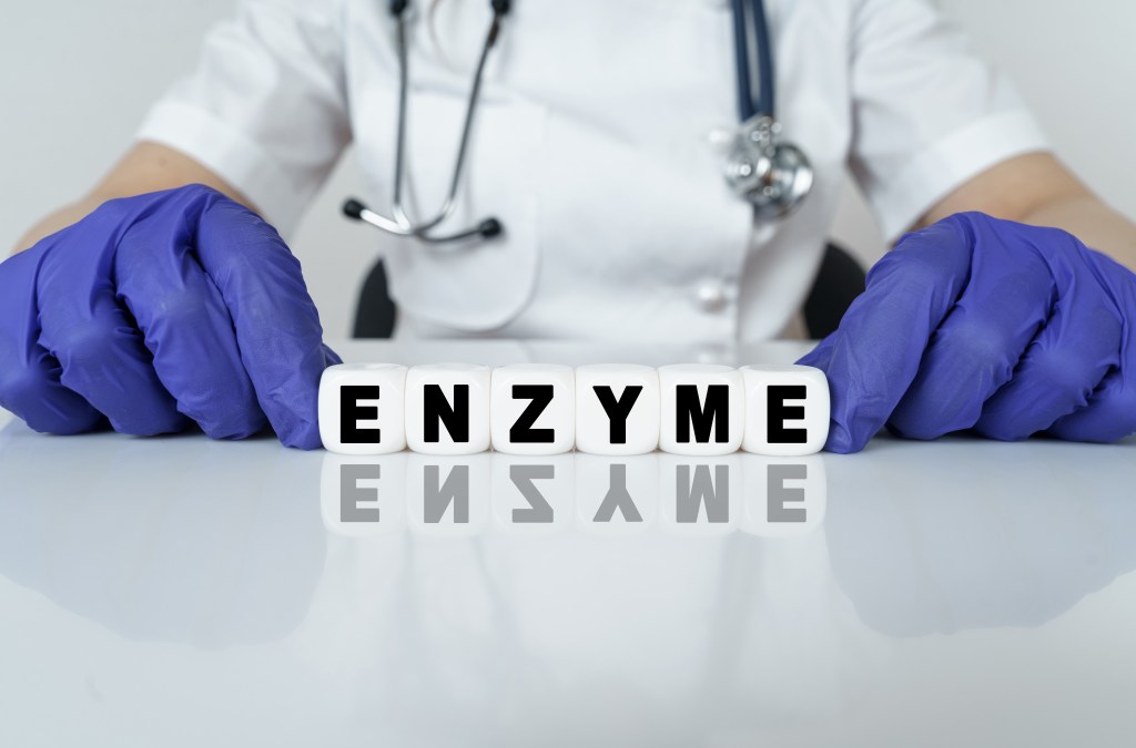 Doctor holding the word enzyme