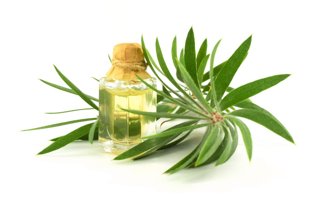 Tea tree oil