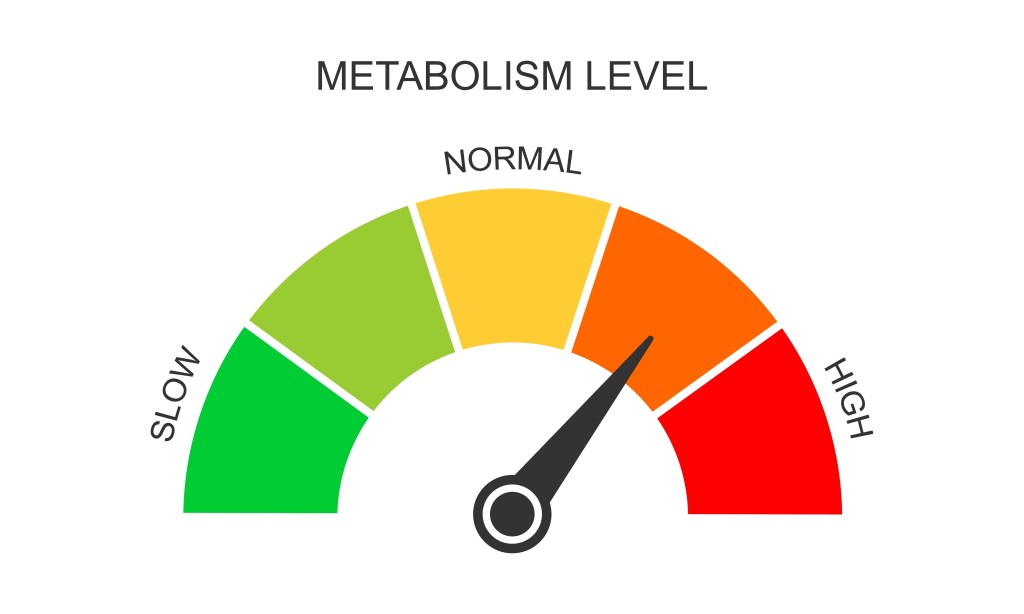 Metabolism meter