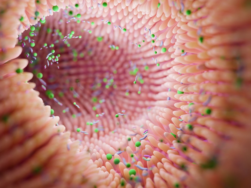 Microbiome illustration  