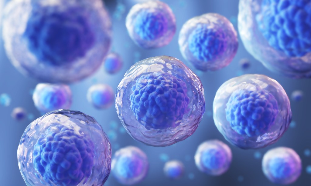 Cellular regeneration concept