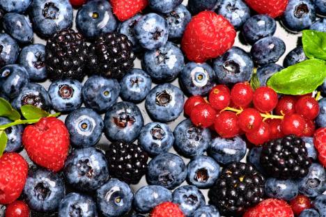 The Best Foods to Shrink Fibroids