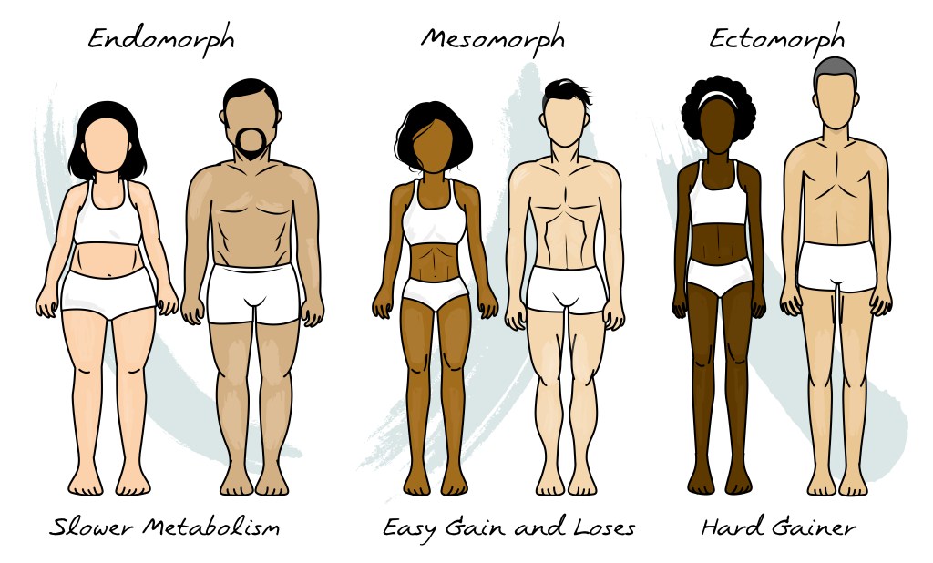 mixed metabolic body type