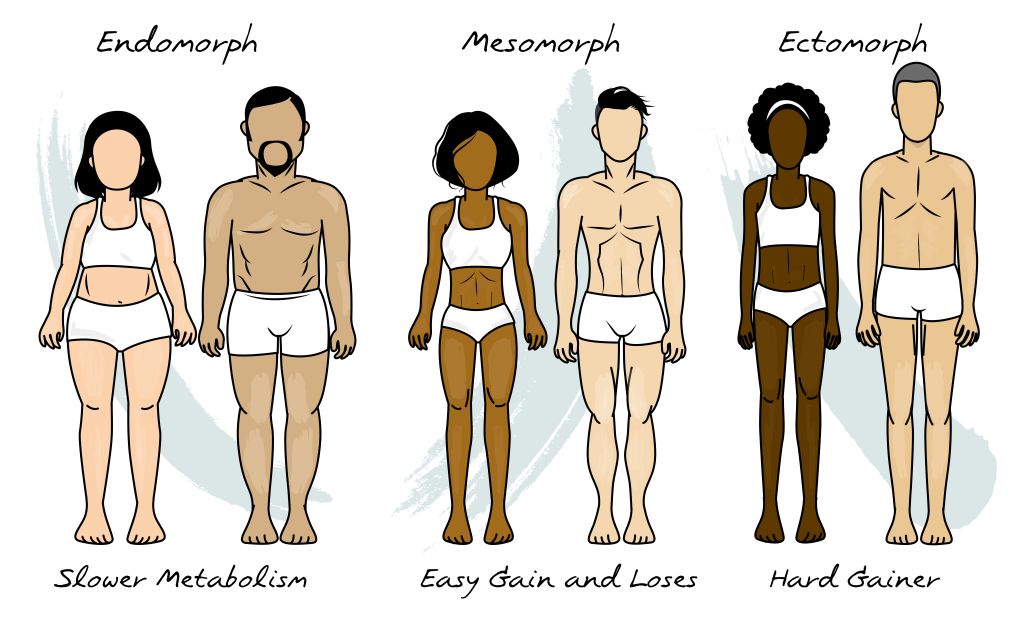 mixed metabolic body type