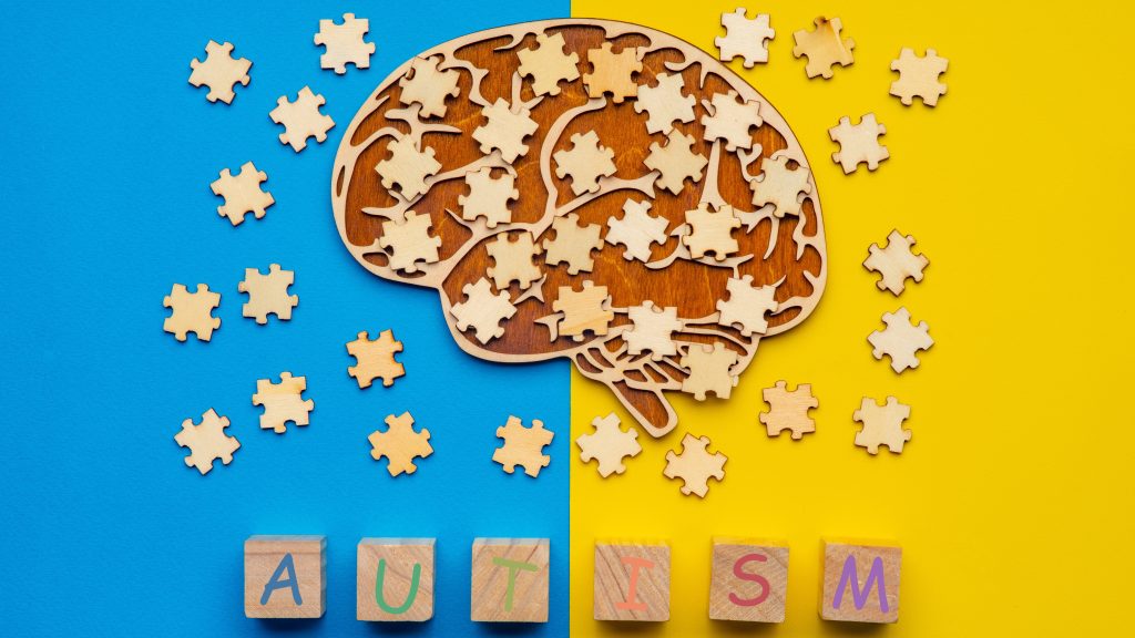 Brain puzzle concept    