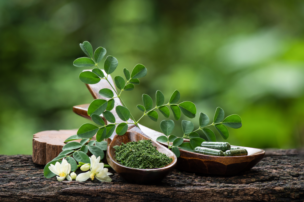 Moringa powder and plant