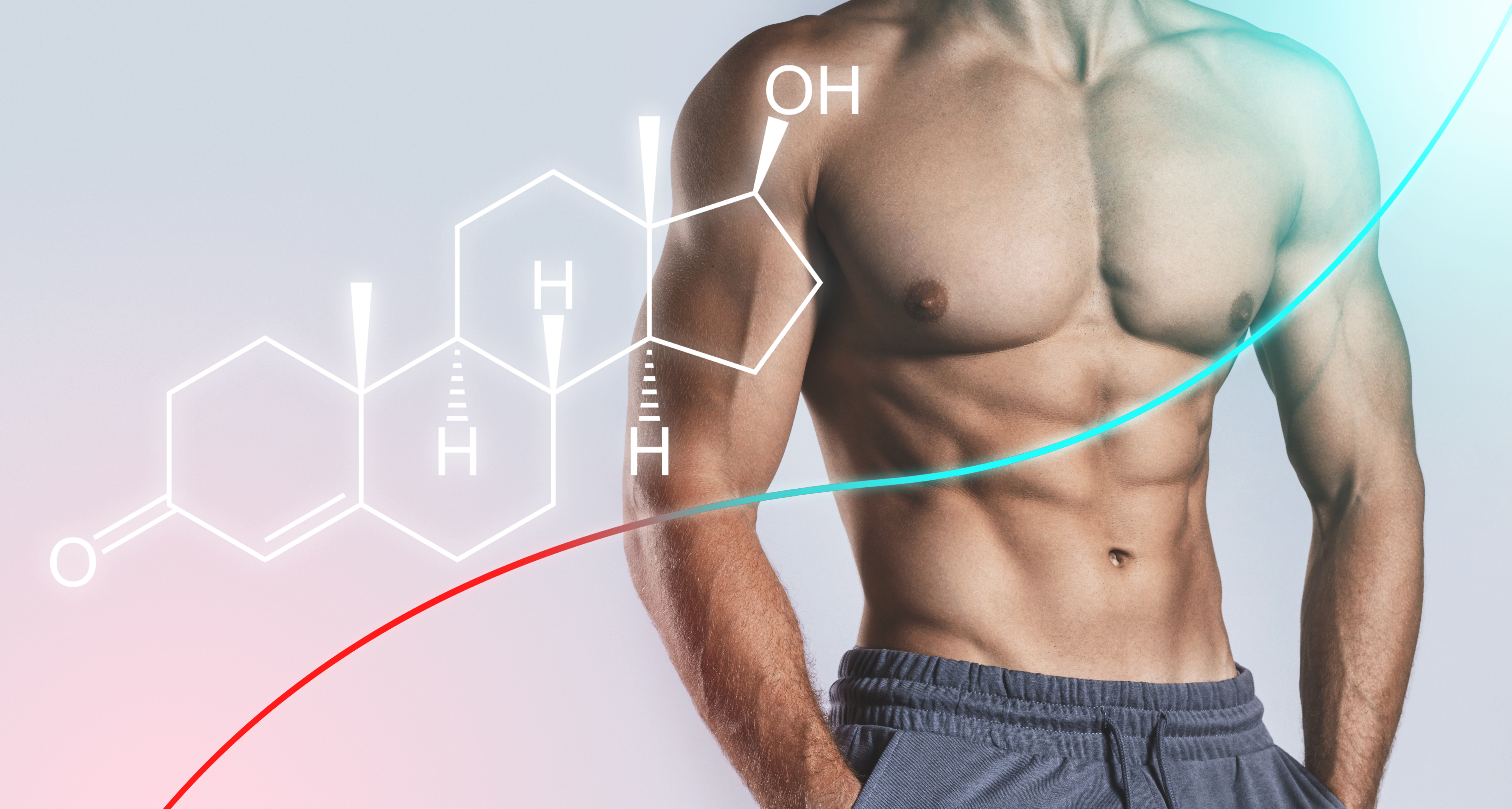 Raising testosterone concept