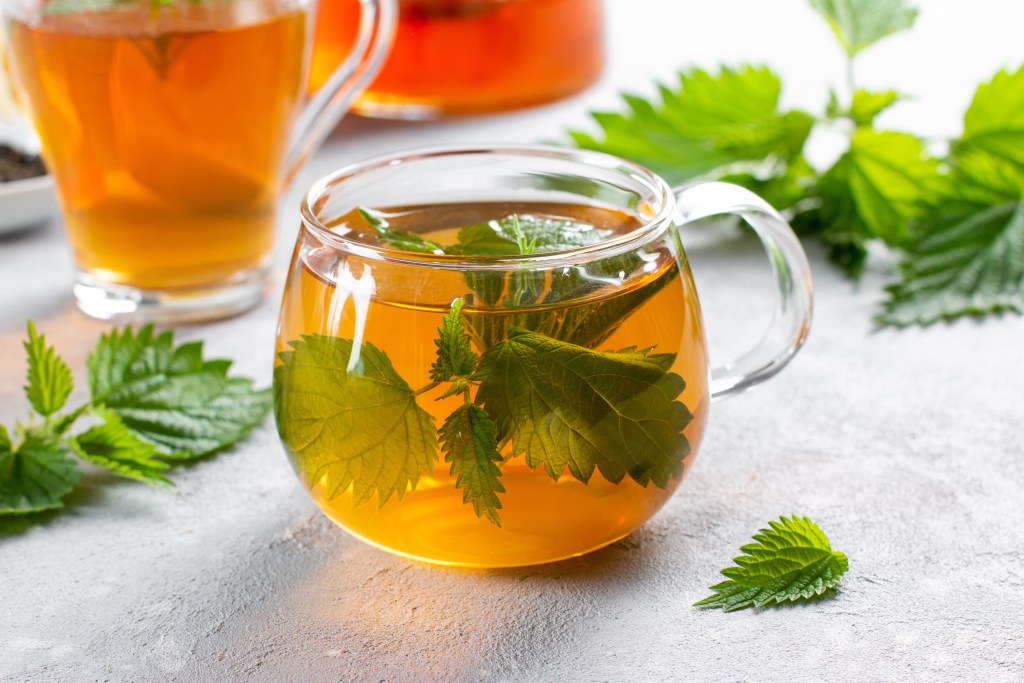 Fresh steeped tea leaves