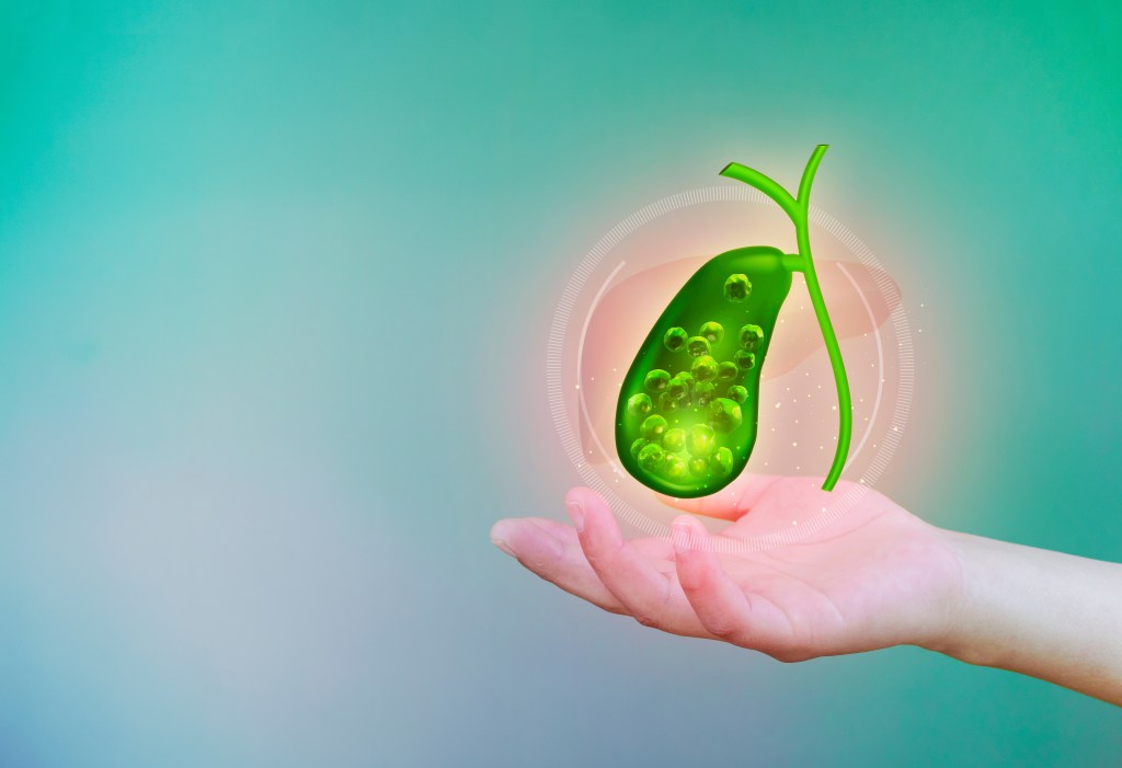 Gallbladder concept