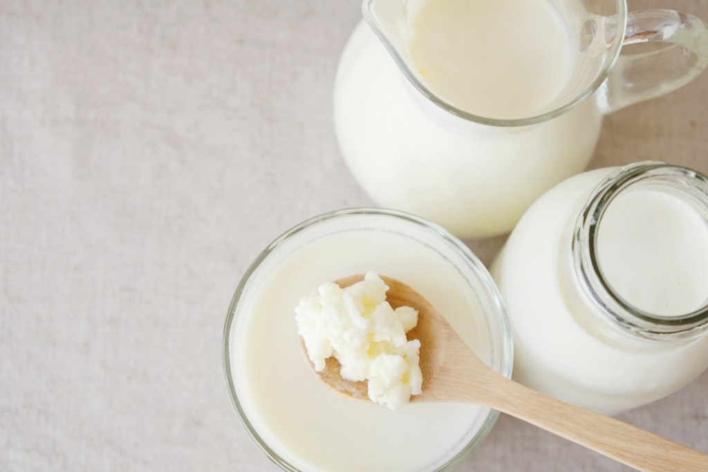 Kefir grains and full-fat milk