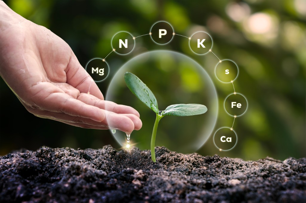 Nutrients in soil