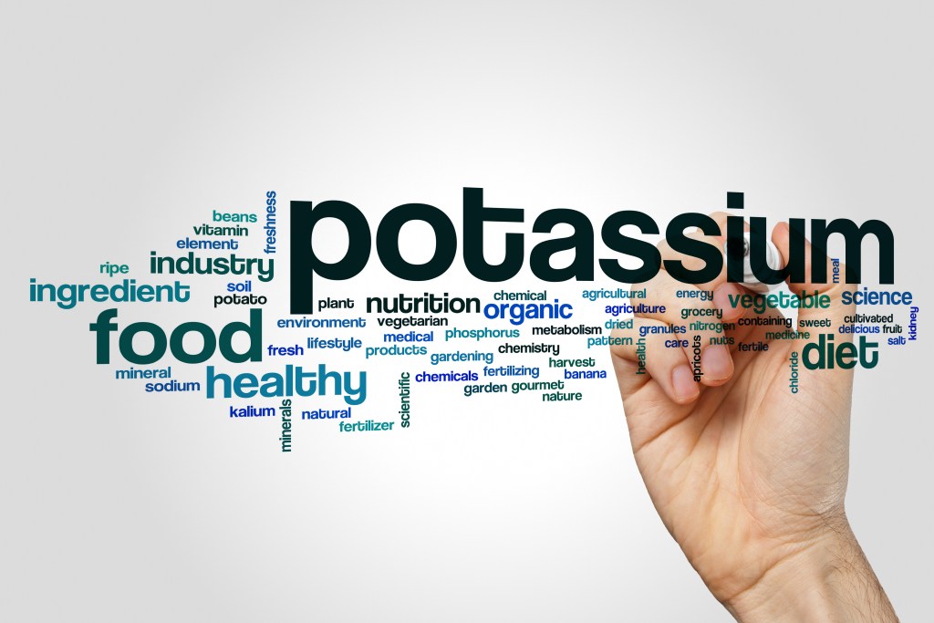 Potassium word cloud
