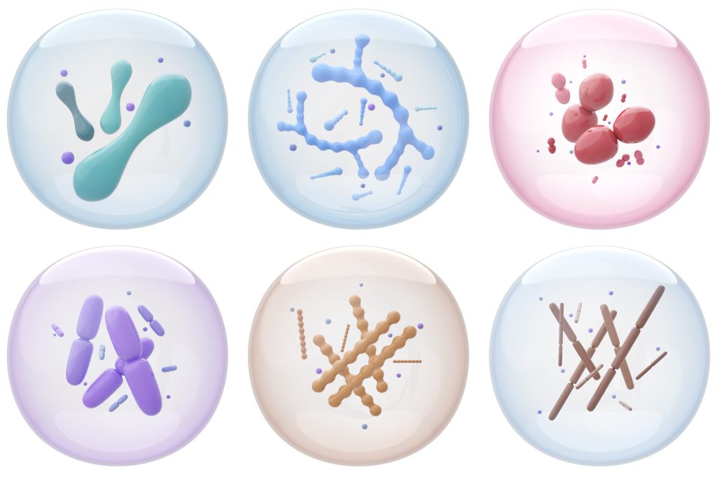 Microscopic illustration of probiotic strains