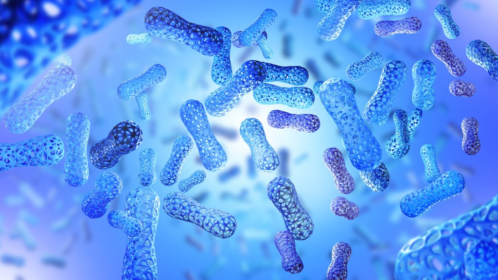 microbiome organisms