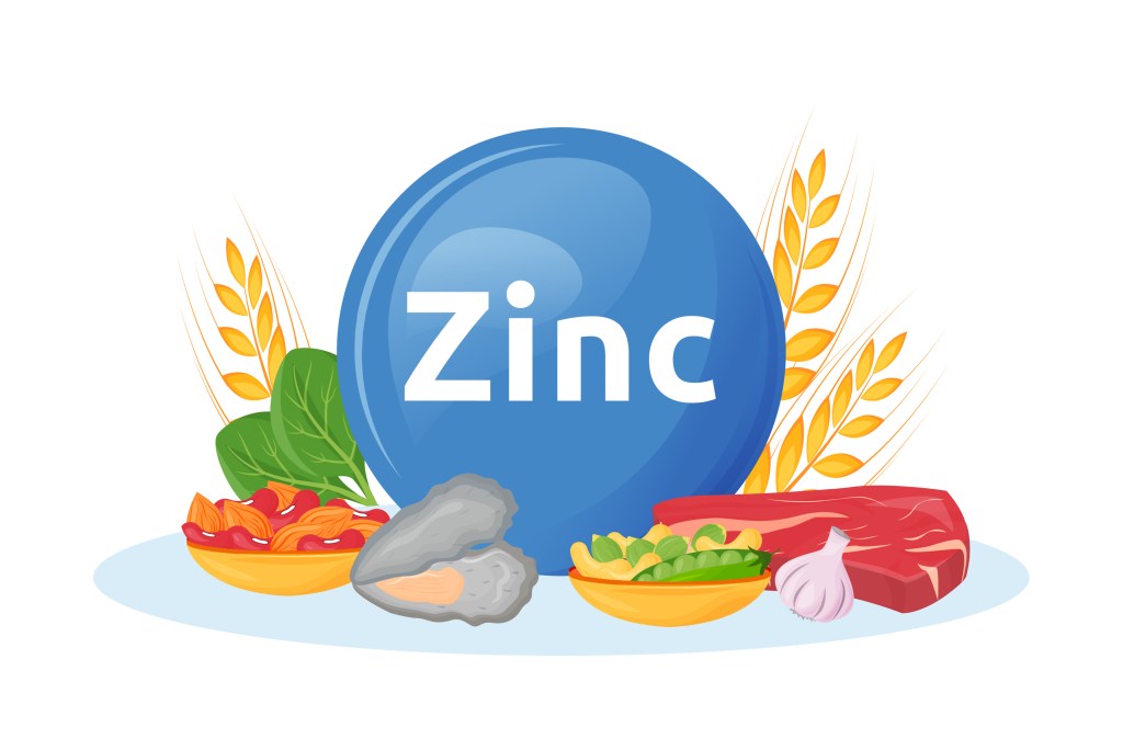 Zinc-rich foods illustration