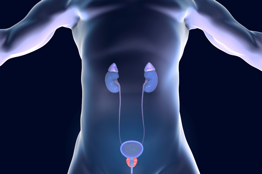 Does Zinc Shrink Prostate Tissue Naturally?