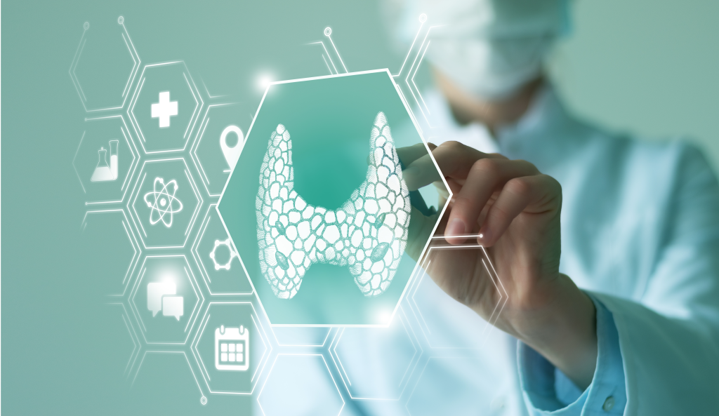 Thyroid illustration