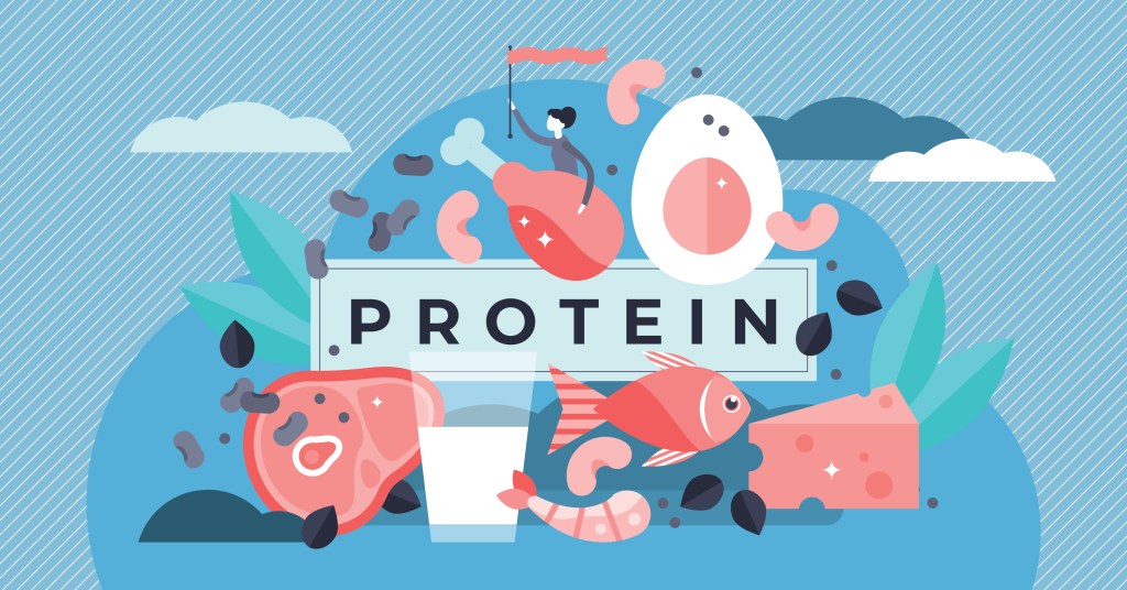 Protein illustration