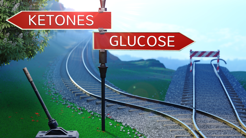 Ketones and glucose road sign