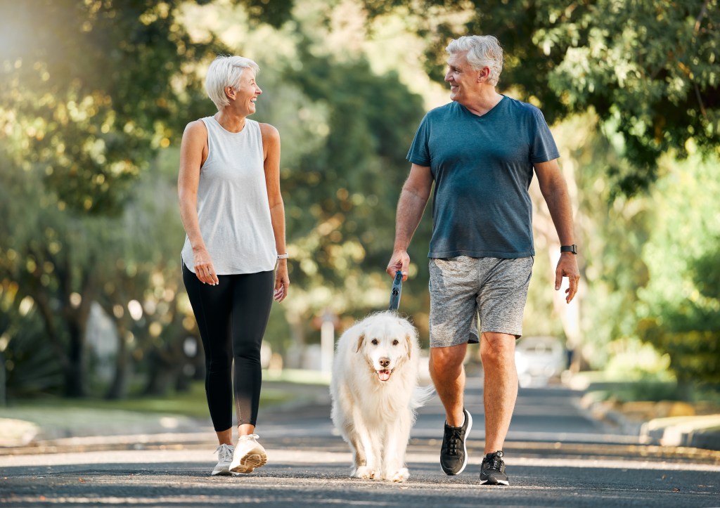 Couple walking a dog