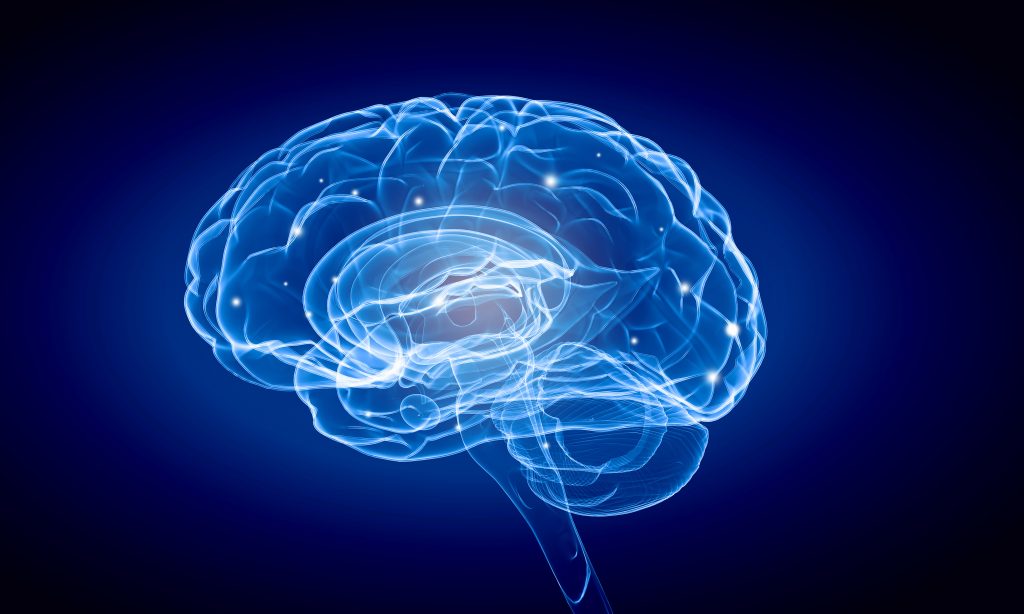 Brain function illustration