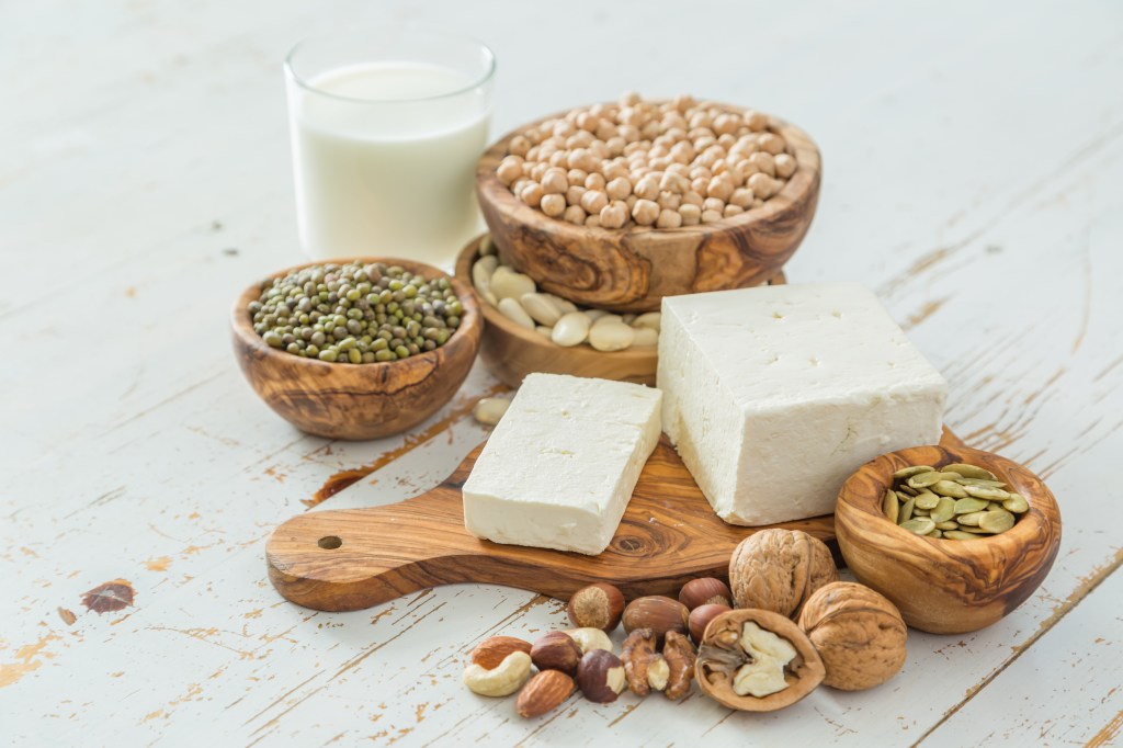 Vegan protein
