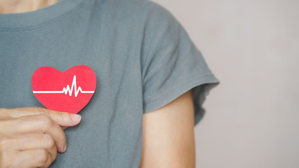 Cardiovascular system concept