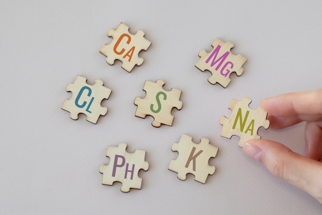 Puzzle pieces of essential minerals