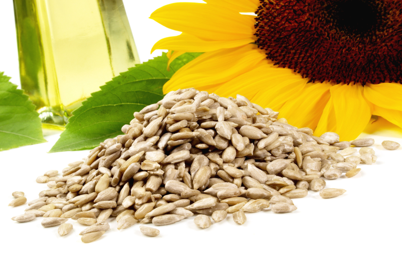 Sunflower seeds