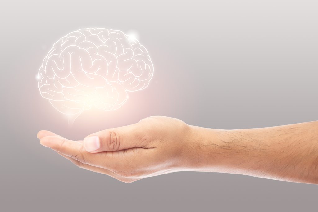 Brain resting above someone’s palm