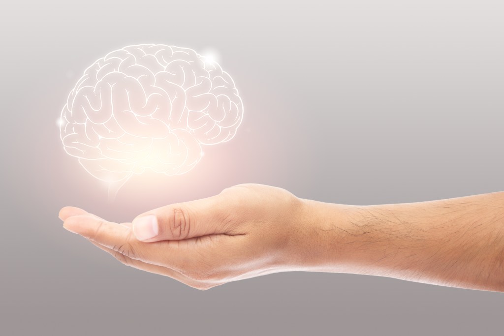 Brain resting above someone’s palm