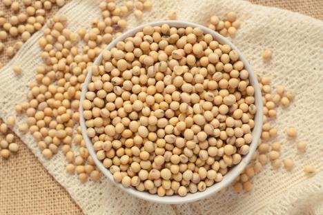 Is Soy Bad for You? – The Myth About Soy as a Health Food
