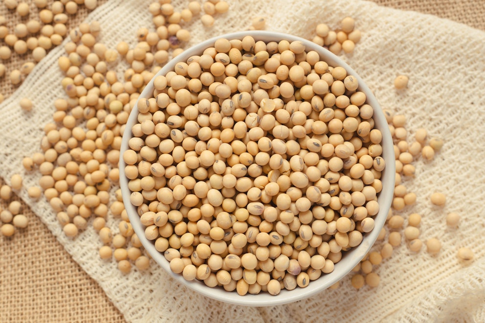 Is Soy Bad for You? - The Myth About Soy as a Health Food
