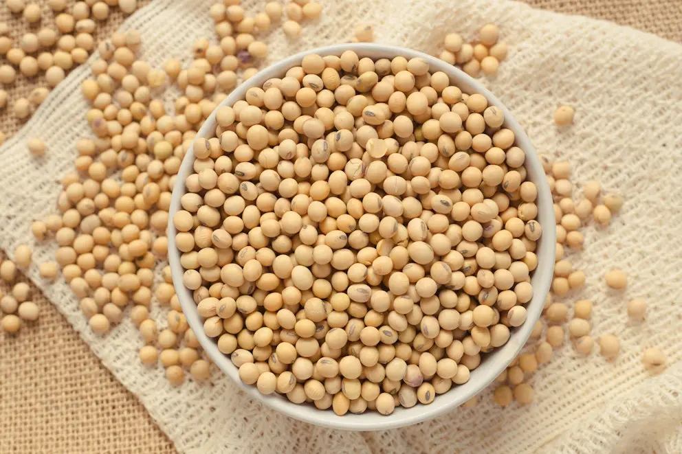Soybeans