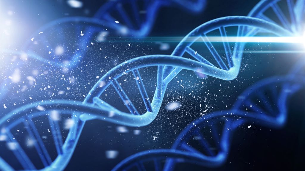 DNA helix