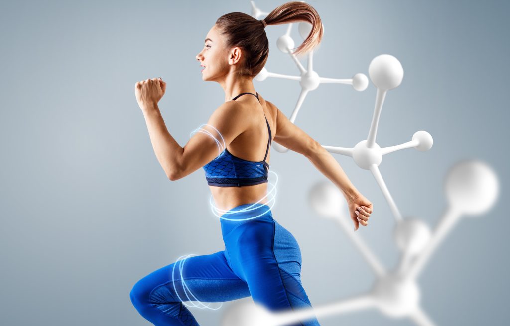 Energy metabolism muscle function concept