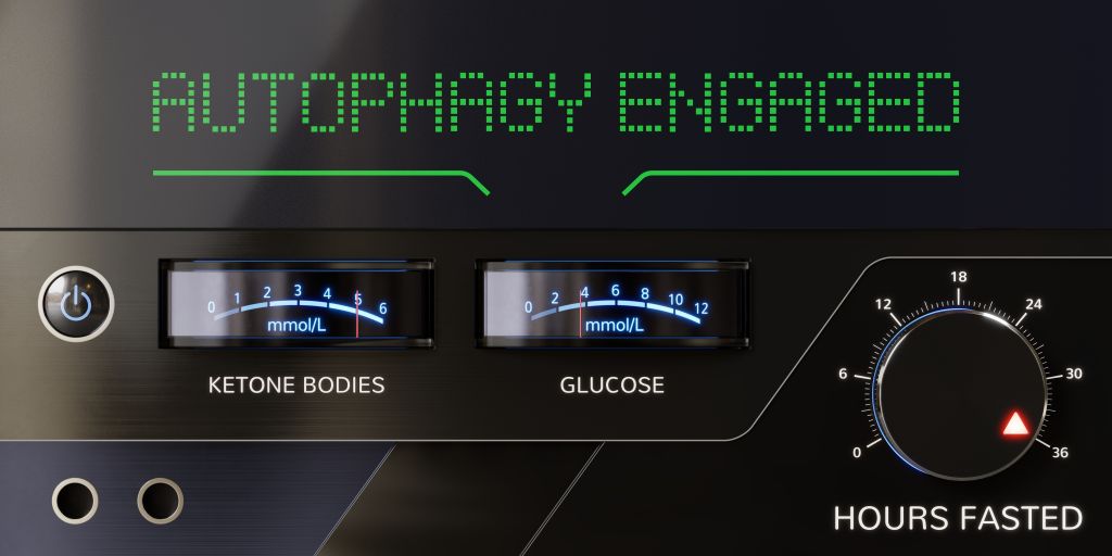 Autophagy illustration