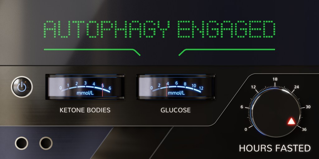 Autophagy illustration