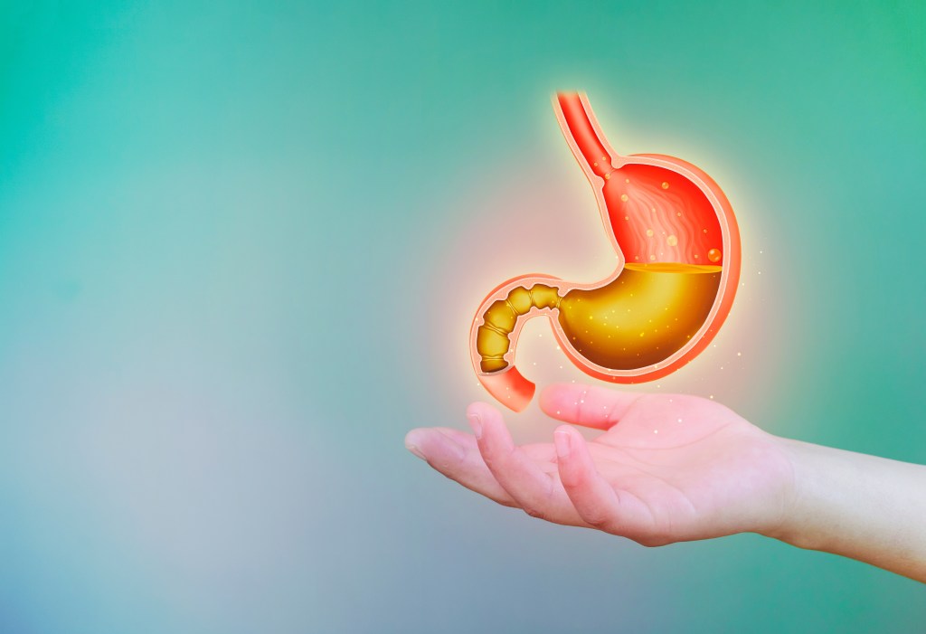 Stomach acid illustration&nbsp;