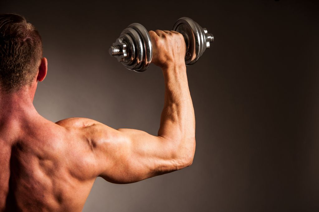 Muscular man holding a weight