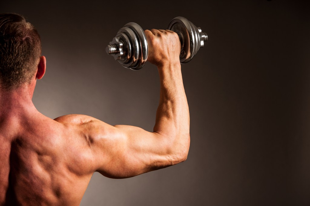 Muscular man holding a weight