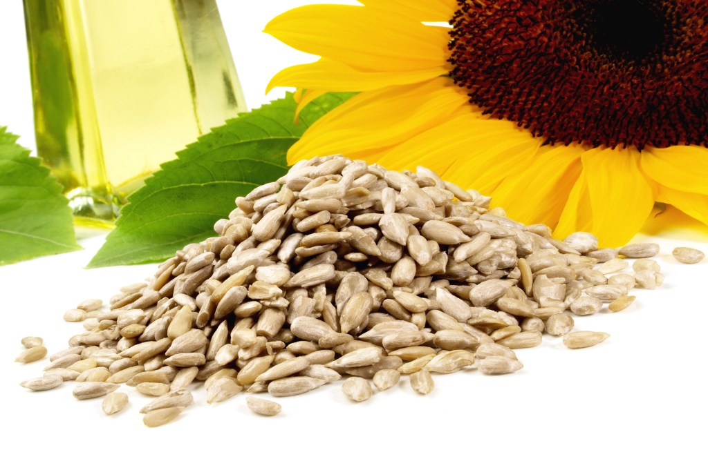 Sunflower seeds