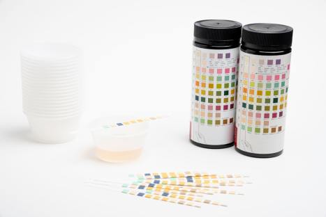 Low or No Ketones in Urine While on Keto—Why?
