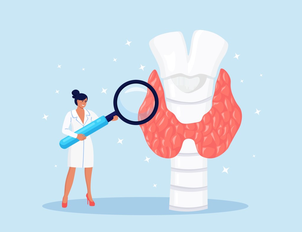 Doctor magnifying the thyroid gland