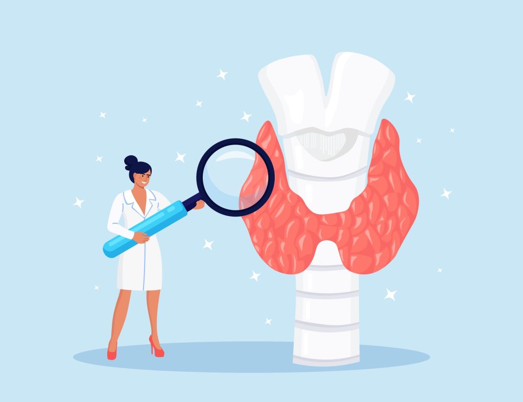 Doctor magnifying the thyroid gland